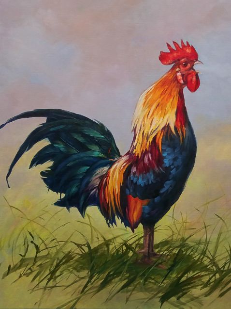Rejtvény – Kakas – 50x70cm – 1000 darab